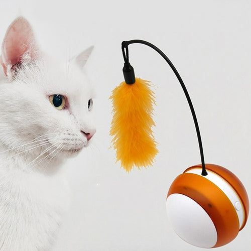 Feather Rolling Ball - LED Light - Cat Toy