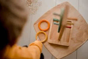 Natural Wood Toy, Sorting Ring Toss