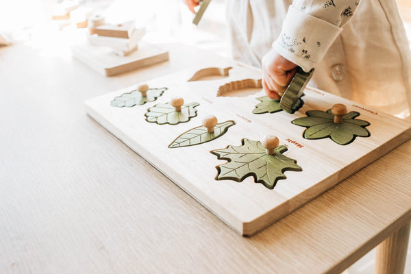 Natural Wood Children's Toy Leaf puzzle