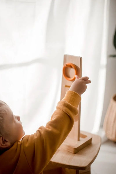 Natural Wood Toy, Sorting Ring Toss