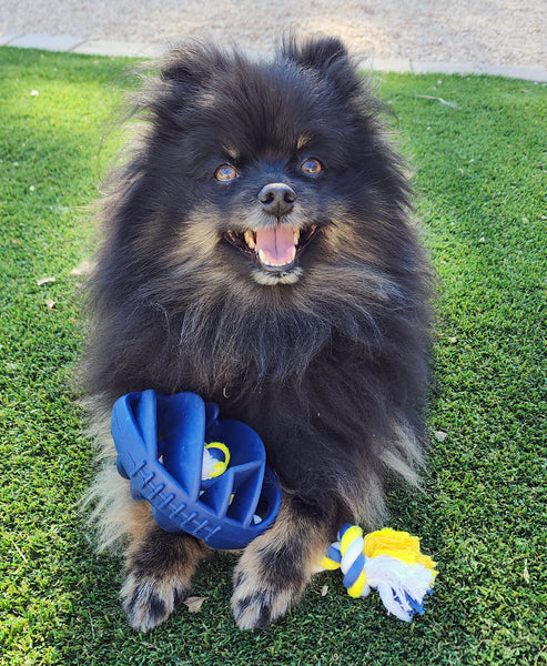 Rubber Football Dog Chew Toy with Tug Rope